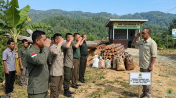 KPH Wilayah VIII Perkuat Pengamanan Hasil Hutan dan Tata Niaga Getah Pinus
